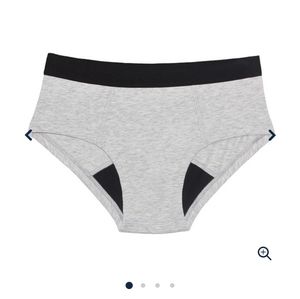 Thinx Period Grey Cotton Brief Panties 2XL